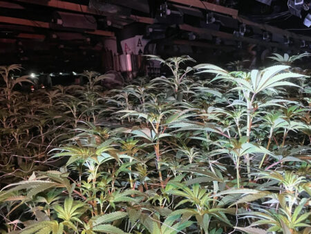 Grow-op Found in Former Aspers Casino in Northampton