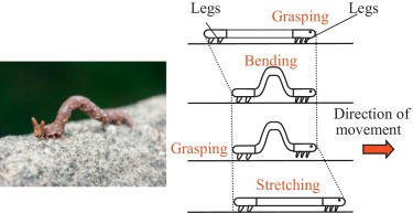 The Inchworm concept or how to improve your game